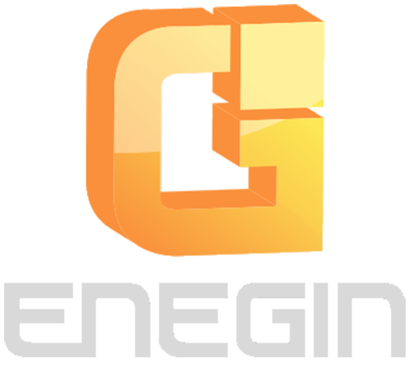ENEGIN Logo